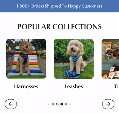 Pet Accessories Store